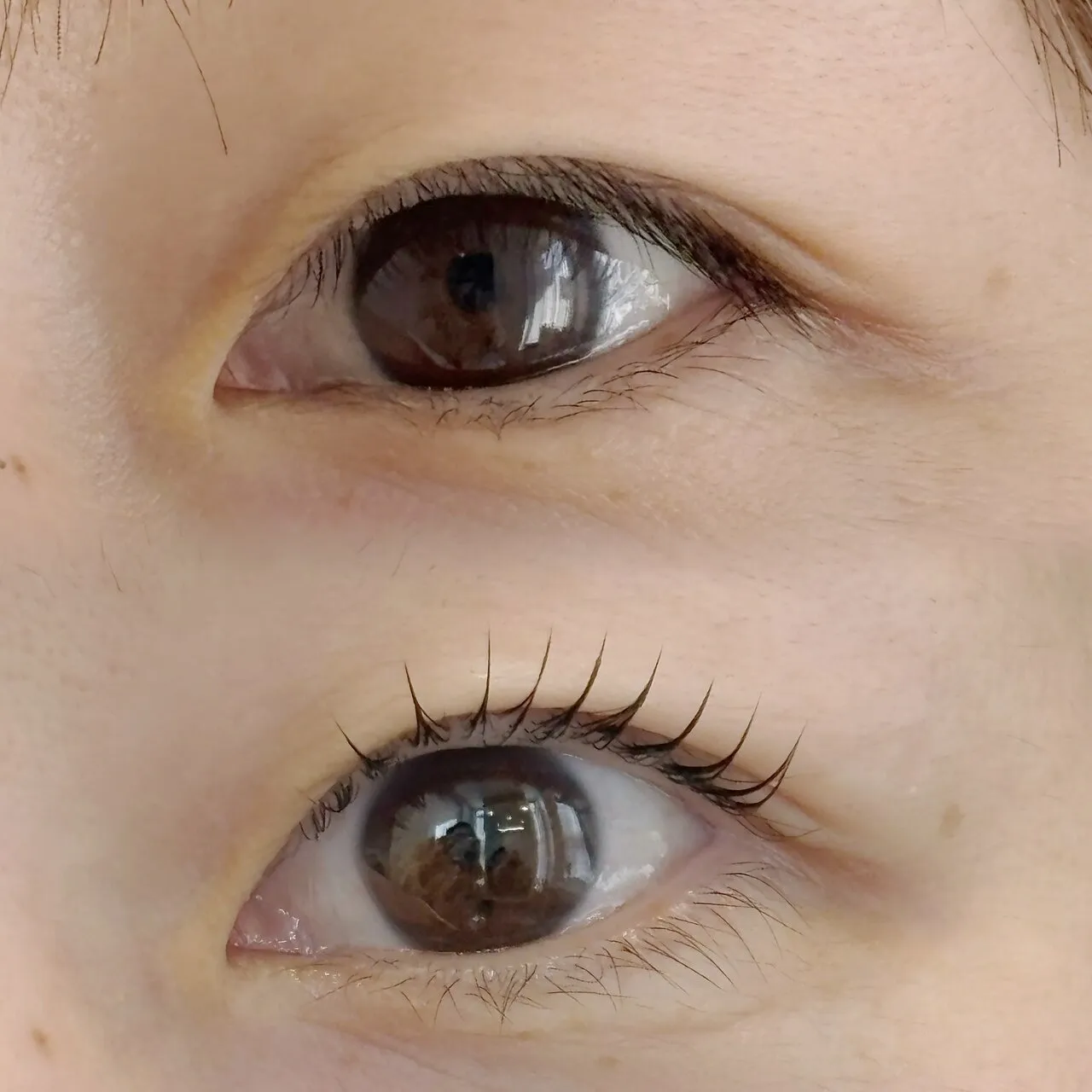 まつ毛パーマ/ラッシュリフト