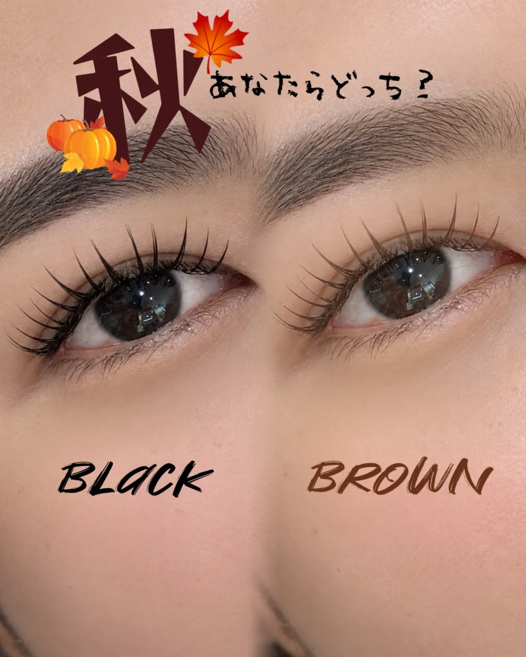 🎀black VS brown🎀